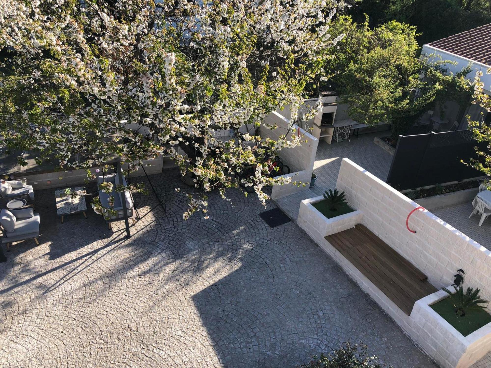 Casa da Avó Olinda Villa Góis Dış mekan fotoğraf