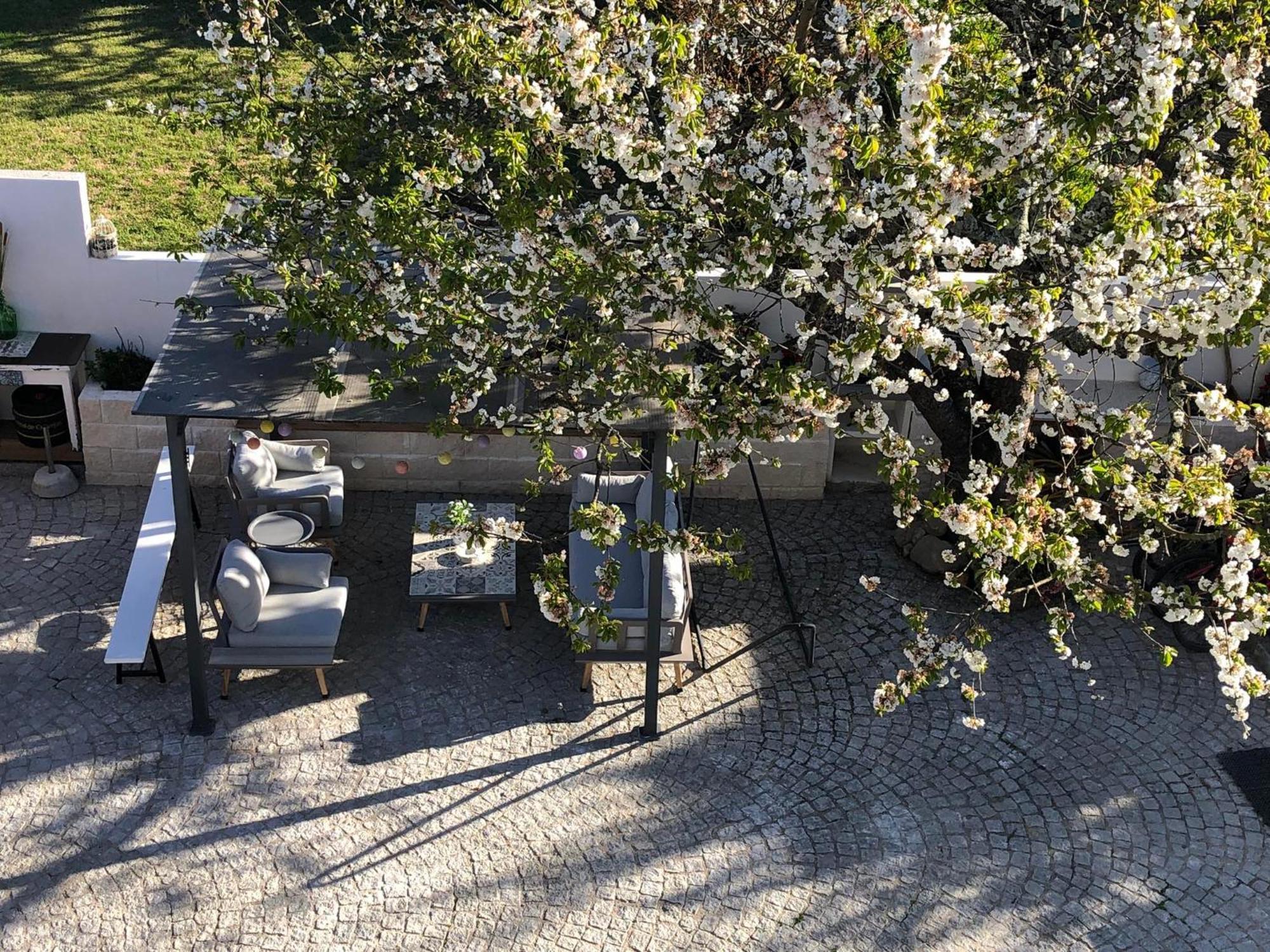 Casa da Avó Olinda Villa Góis Dış mekan fotoğraf