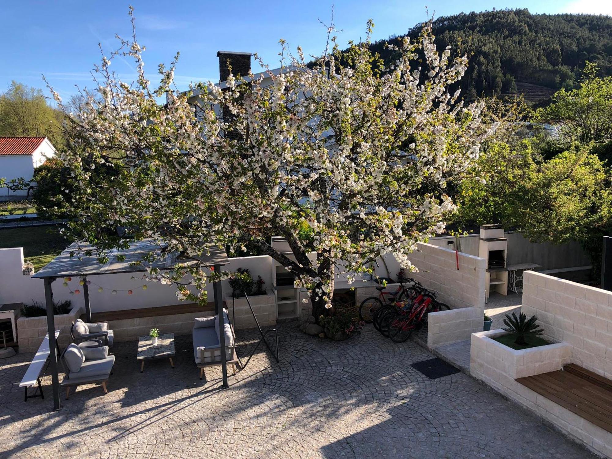Casa da Avó Olinda Villa Góis Dış mekan fotoğraf