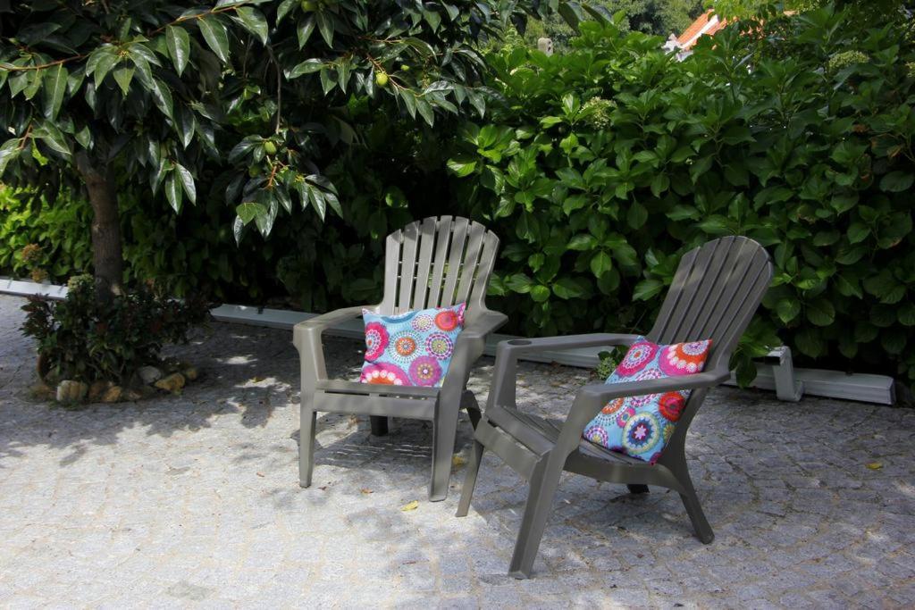 Casa da Avó Olinda Villa Góis Dış mekan fotoğraf